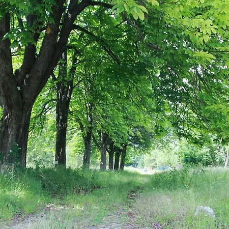 Bett Im Bahnhof Waldblick Апартаменты Бад-Гарцбург