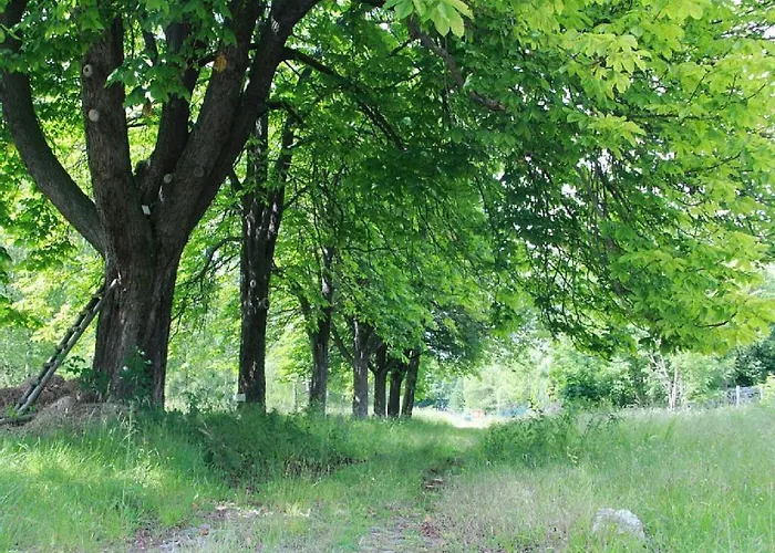 Bett Im Bahnhof Waldblick Kein Junggesellenabschied Oae Апартаменты Бад-Гарцбург
